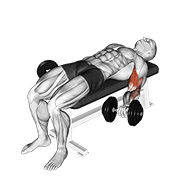 Flexii pentru biceps în decubit dorsal, cu gantere