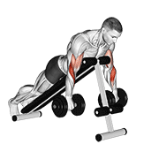 Flexii spider inverse cu gantere