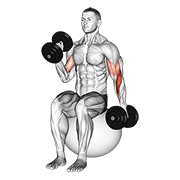 Flexii tip ciocan alternative, așezat pe minge de exerciții, cu gantere