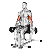 Flexii pentru biceps, așezat, cu gantera
