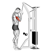 Extensie de triceps cu un braț, la cablu