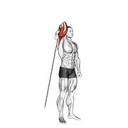 Extensie de triceps deasupra capului, priză inversă, cu un braț, în picioare, la cablu