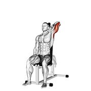 Extensie de triceps deasupra capului, priză inversă, cu o mână, așezat, cu gantera