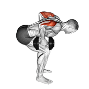 Extensie de triceps cu ambele brațe, aplecat, în picioare, cu gantere