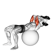 Extensie de triceps în decubit dorsal, cu gantera