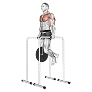 Dips pentru triceps, cu greutate, la bare paralele înalte