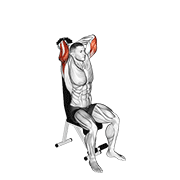 Extensie de triceps, așezat, cu gantera