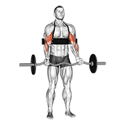 Flexii pentru biceps cu bară EZ (cu arm blaster)