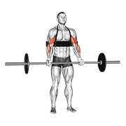 Flexii pentru biceps cu haltera (cu arm blaster)
