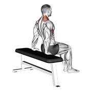 Dips scapulare