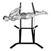 Back lever