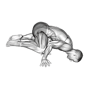 Frog planche
