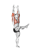 Stând pe mâini (handstand)