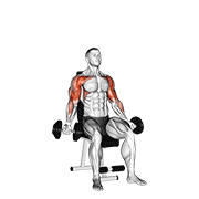 Flexii pentru biceps urmate de împins pentru umeri, așezat, cu gantere