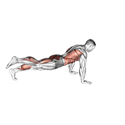 Plank power point