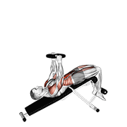 Abdomene declinate, cu greutate