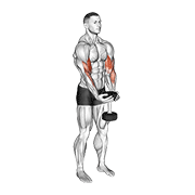 Flexii pentru biceps tip chelner, cu gantere